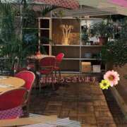 ヒメ日記 2025/04/20 07:42 投稿 宮野　とうこ ソープランド蜜 人妻・美熟女専門店