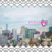 ヒメ日記 2025/04/21 12:04 投稿 宮野　とうこ ソープランド蜜 人妻・美熟女専門店