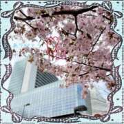 ヒメ日記 2025/04/29 10:55 投稿 宮野　とうこ ソープランド蜜 人妻・美熟女専門店