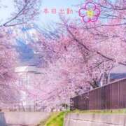 ヒメ日記 2025/04/30 10:22 投稿 宮野　とうこ ソープランド蜜 人妻・美熟女専門店