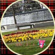 ヒメ日記 2025/04/30 18:32 投稿 宮野　とうこ ソープランド蜜 人妻・美熟女専門店