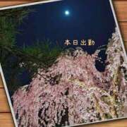 ヒメ日記 2025/05/03 12:23 投稿 宮野　とうこ ソープランド蜜 人妻・美熟女専門店