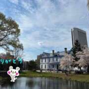 ヒメ日記 2025/05/04 10:53 投稿 宮野　とうこ ソープランド蜜 人妻・美熟女専門店