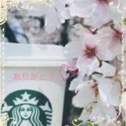 ヒメ日記 2025/05/06 11:22 投稿 宮野　とうこ ソープランド蜜 人妻・美熟女専門店