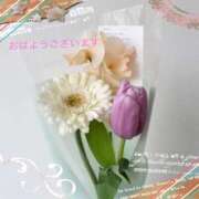 ヒメ日記 2025/05/09 10:11 投稿 宮野　とうこ ソープランド蜜 人妻・美熟女専門店