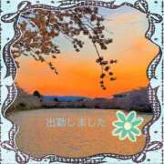 ヒメ日記 2025/05/09 18:32 投稿 宮野　とうこ ソープランド蜜 人妻・美熟女専門店