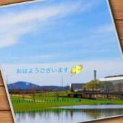 ヒメ日記 2025/05/12 07:32 投稿 宮野　とうこ ソープランド蜜 人妻・美熟女専門店