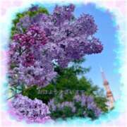 ヒメ日記 2025/05/23 07:33 投稿 宮野　とうこ ソープランド蜜 人妻・美熟女専門店