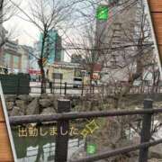 ヒメ日記 2025/05/26 18:42 投稿 宮野　とうこ ソープランド蜜 人妻・美熟女専門店