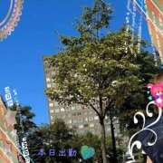 ヒメ日記 2025/05/31 10:42 投稿 宮野　とうこ ソープランド蜜 人妻・美熟女専門店