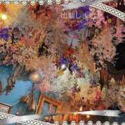 ヒメ日記 2025/05/31 18:42 投稿 宮野　とうこ ソープランド蜜 人妻・美熟女専門店