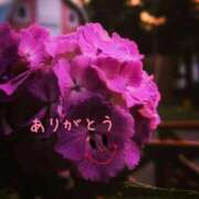 ヒメ日記 2025/06/01 10:03 投稿 宮野　とうこ ソープランド蜜 人妻・美熟女専門店