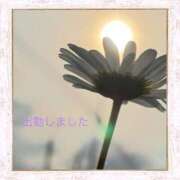 ヒメ日記 2025/06/03 19:03 投稿 宮野　とうこ ソープランド蜜 人妻・美熟女専門店