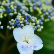 ヒメ日記 2025/06/05 09:52 投稿 宮野　とうこ ソープランド蜜 人妻・美熟女専門店