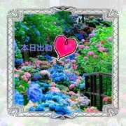 ヒメ日記 2025/06/07 10:52 投稿 宮野　とうこ ソープランド蜜 人妻・美熟女専門店