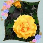 ヒメ日記 2025/06/09 09:46 投稿 宮野　とうこ ソープランド蜜 人妻・美熟女専門店