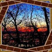 ヒメ日記 2025/06/09 18:42 投稿 宮野　とうこ ソープランド蜜 人妻・美熟女専門店