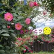 ヒメ日記 2025/06/10 10:22 投稿 宮野　とうこ ソープランド蜜 人妻・美熟女専門店