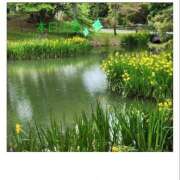 ヒメ日記 2025/06/13 09:22 投稿 宮野　とうこ ソープランド蜜 人妻・美熟女専門店