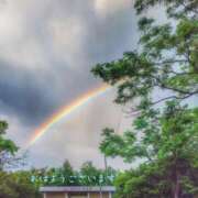 ヒメ日記 2025/06/27 07:52 投稿 宮野　とうこ ソープランド蜜 人妻・美熟女専門店