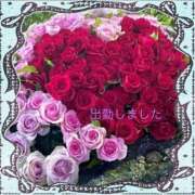 ヒメ日記 2025/06/27 19:02 投稿 宮野　とうこ ソープランド蜜 人妻・美熟女専門店