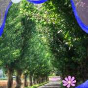 ヒメ日記 2025/07/01 10:23 投稿 宮野　とうこ ソープランド蜜 人妻・美熟女専門店