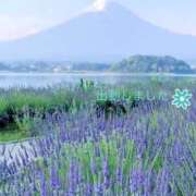 ヒメ日記 2025/07/01 18:50 投稿 宮野　とうこ ソープランド蜜 人妻・美熟女専門店