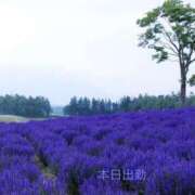 ヒメ日記 2025/07/03 10:04 投稿 宮野　とうこ ソープランド蜜 人妻・美熟女専門店