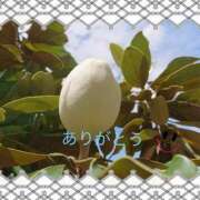 ヒメ日記 2025/07/05 12:23 投稿 宮野　とうこ ソープランド蜜 人妻・美熟女専門店