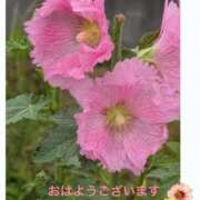 ヒメ日記 2025/07/07 10:02 投稿 宮野　とうこ ソープランド蜜 人妻・美熟女専門店