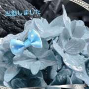 ヒメ日記 2025/07/13 18:42 投稿 宮野　とうこ ソープランド蜜 人妻・美熟女専門店