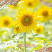 ヒメ日記 2025/07/14 10:22 投稿 宮野　とうこ ソープランド蜜 人妻・美熟女専門店