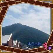 ヒメ日記 2025/07/15 10:03 投稿 宮野　とうこ ソープランド蜜 人妻・美熟女専門店