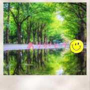 ヒメ日記 2025/07/29 12:03 投稿 宮野　とうこ ソープランド蜜 人妻・美熟女専門店