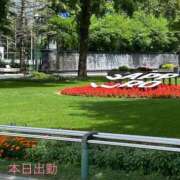 ヒメ日記 2025/07/31 11:42 投稿 宮野　とうこ ソープランド蜜 人妻・美熟女専門店