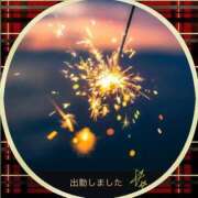 ヒメ日記 2025/07/31 18:48 投稿 宮野　とうこ ソープランド蜜 人妻・美熟女専門店