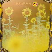 ヒメ日記 2025/08/01 10:22 投稿 宮野　とうこ ソープランド蜜 人妻・美熟女専門店