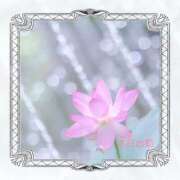 ヒメ日記 2025/08/05 11:42 投稿 宮野　とうこ ソープランド蜜 人妻・美熟女専門店