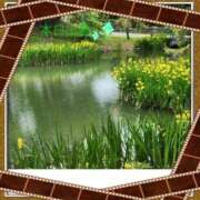 ヒメ日記 2025/08/08 10:03 投稿 宮野　とうこ ソープランド蜜 人妻・美熟女専門店