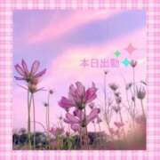 ヒメ日記 2025/08/16 08:02 投稿 宮野　とうこ ソープランド蜜 人妻・美熟女専門店