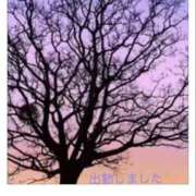 ヒメ日記 2025/08/16 18:42 投稿 宮野　とうこ ソープランド蜜 人妻・美熟女専門店