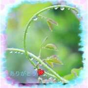 ヒメ日記 2025/08/17 12:22 投稿 宮野　とうこ ソープランド蜜 人妻・美熟女専門店