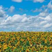 ヒメ日記 2025/08/18 11:31 投稿 宮野　とうこ ソープランド蜜 人妻・美熟女専門店