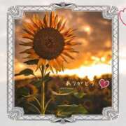 ヒメ日記 2025/08/19 08:52 投稿 宮野　とうこ ソープランド蜜 人妻・美熟女専門店