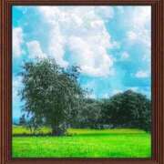 ヒメ日記 2025/08/30 11:48 投稿 宮野　とうこ ソープランド蜜 人妻・美熟女専門店