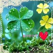 ヒメ日記 2025/08/31 11:30 投稿 宮野　とうこ ソープランド蜜 人妻・美熟女専門店