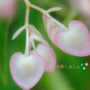 ヒメ日記 2025/09/02 19:52 投稿 宮野　とうこ ソープランド蜜 人妻・美熟女専門店