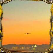 ヒメ日記 2025/09/04 18:42 投稿 宮野　とうこ ソープランド蜜 人妻・美熟女専門店