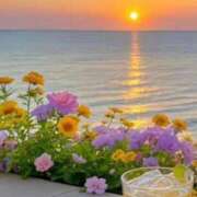 ヒメ日記 2025/09/08 09:02 投稿 宮野　とうこ ソープランド蜜 人妻・美熟女専門店