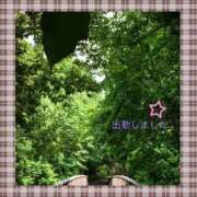 ヒメ日記 2025/09/11 18:49 投稿 宮野　とうこ ソープランド蜜 人妻・美熟女専門店